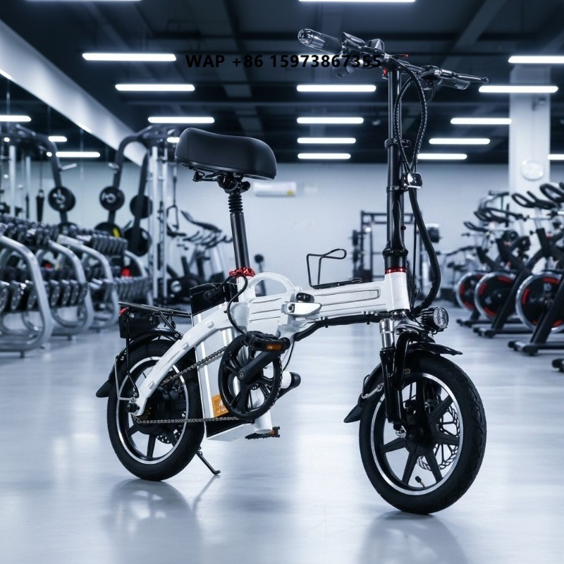 Commuter Biking - Mini Folding Electric Bike Factory Supply