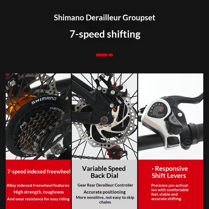 Folding Bike 20 Inch Aluminum  - Commuter Biking 评论和价格